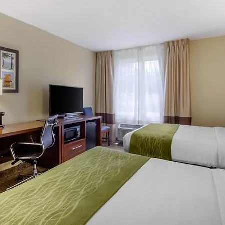 Comfort Inn St Petersburg North-2
