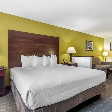 Best Western Plus Mansfield Inn & Suites-2
