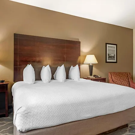 Best Western Plus Burleson Inn & Suites-2