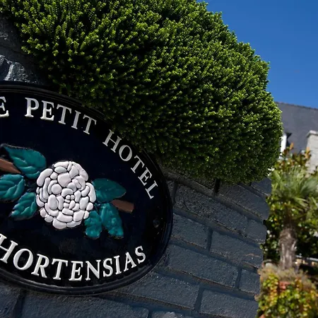 Le Petit Hôtel des Hortensias-3