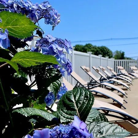 Sea View Motel-2