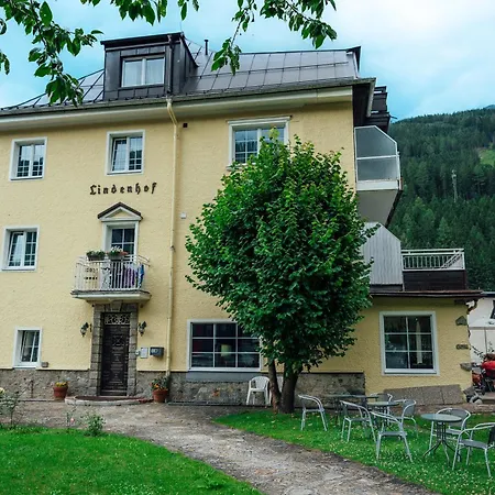 Hotel Lindenhof-2