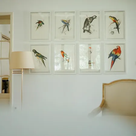 Casa Da Vila-2