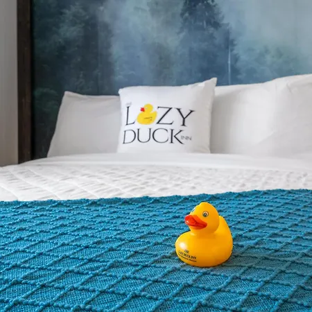 The Lazy Duck Inn-3