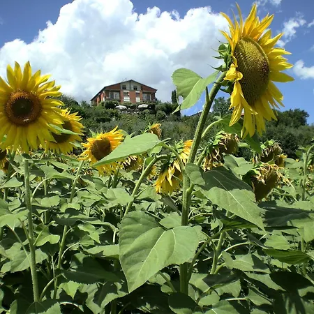 Hotel Sangallo B&B - Panoramic Position - Valley And Vineyard View- Family Run-2