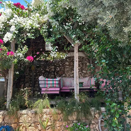 The White House Kalkan-3