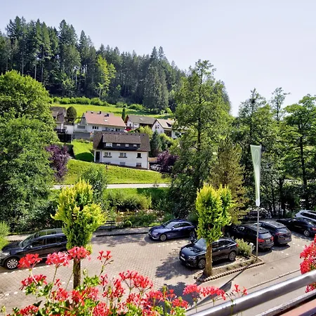 Flair Hotel Sonnenhof-3