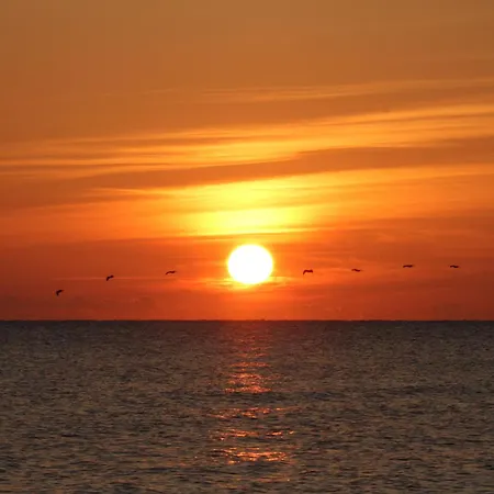 Oceanfront Inn And Suites - Ormond-3