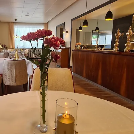 Hotel Hessischer Hof-2