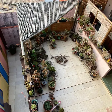 B&B Sol Poente-3