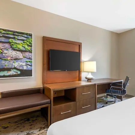 Comfort Inn & Suites Valdosta I-75-2