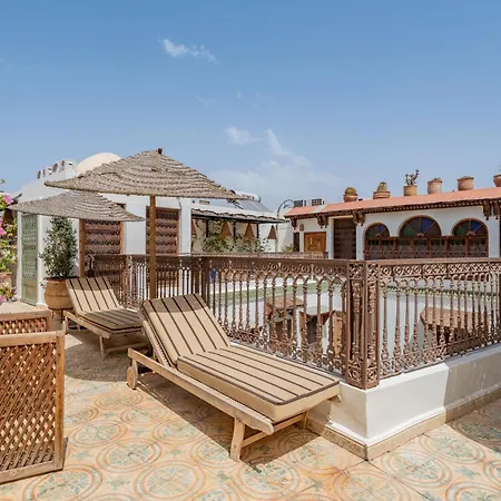 Riad Yamina52-3