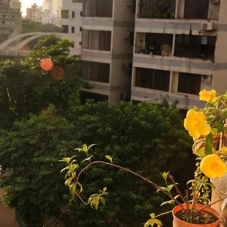 Tropical Daisy-2