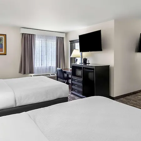 Best Western Saluki Inn-2
