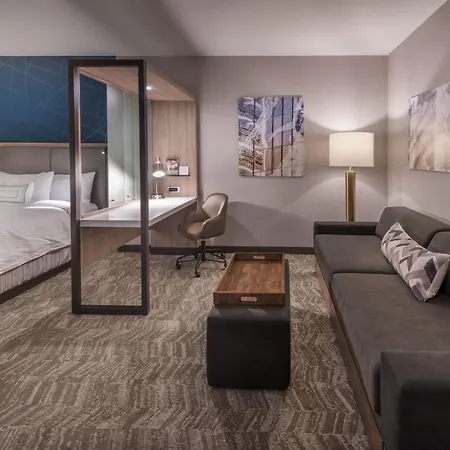 Springhill Suites By Marriott Reno-2