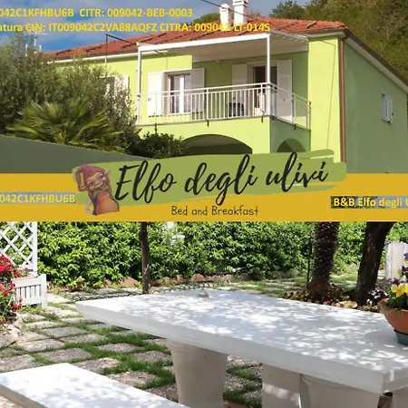 B&B Elfo degli Ulivi-2