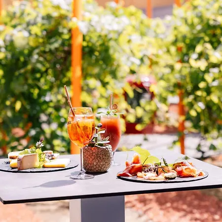 Radisson Blu Hotel Toulouse Airport-2