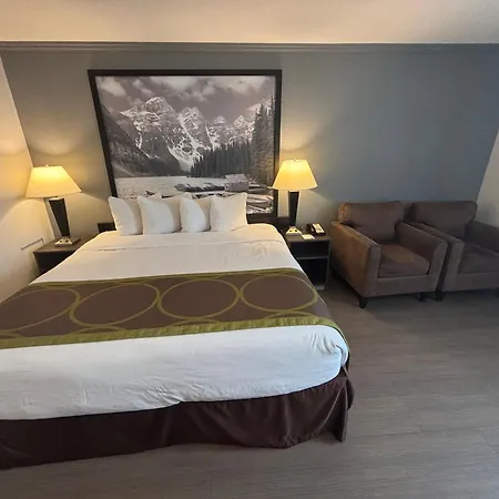 Super 8 By Wyndham Macleod Trail Calgary-3