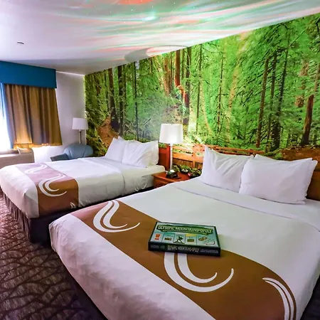 Quality Inn & Suites Sequim At Olympic National Park-2