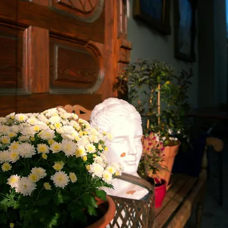 Schillers Hotel&Café - GARNI --3