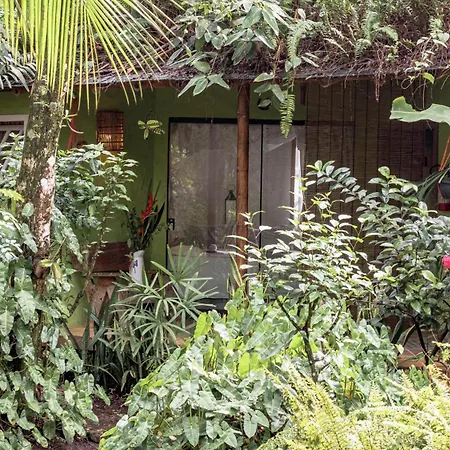 Butterfly House Bahia-3