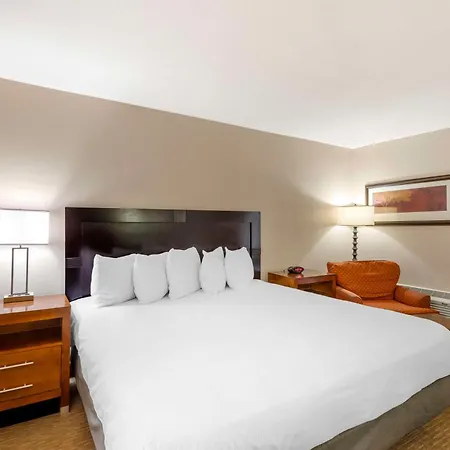 Best Western Cotton Tree Inn-2