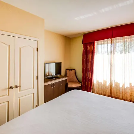 Hilton Garden Inn Tampa Ybor Historic District-3