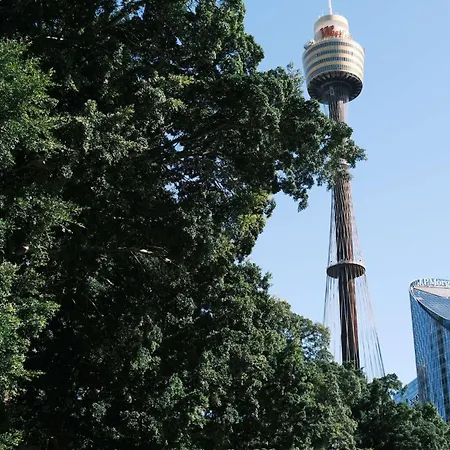 Metro Aspire Hotel Sydney-3