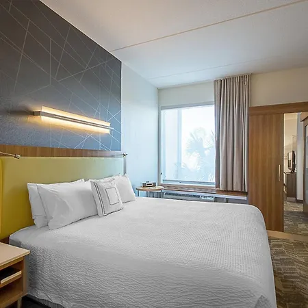 Springhill Suites Tampa North/Tampa Palms-3