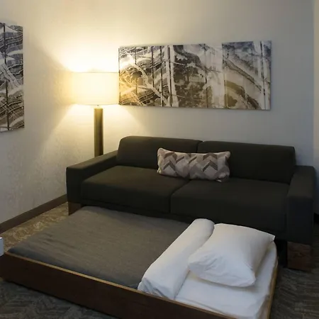 Springhill Suites By Marriott Logan-2
