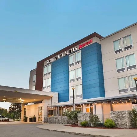 Springhill Suites Lumberton-3