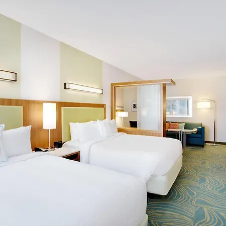 Springhill Suites By Marriott Murray-2