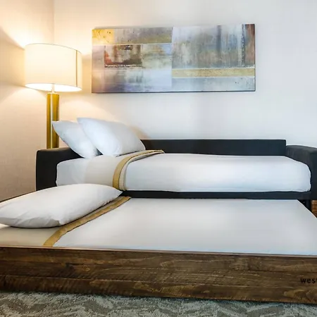 Springhill Suites By Marriott Columbia-3