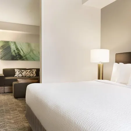 Springhill Suites By Marriott West Palm Beach I-95-2