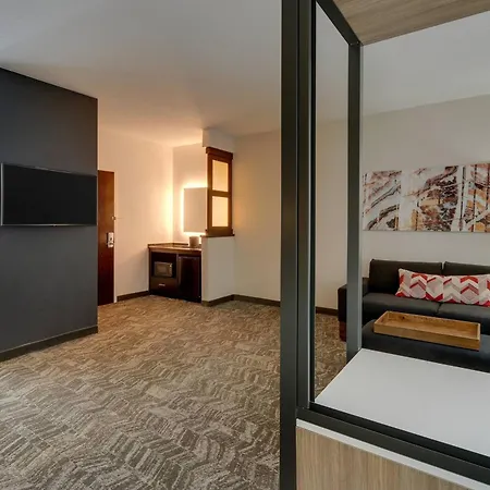 Springhill Suites By Marriott Birmingham Downtown At Uab-3