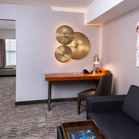 Springhill Suites By Marriott Pittsburgh North Shore-2