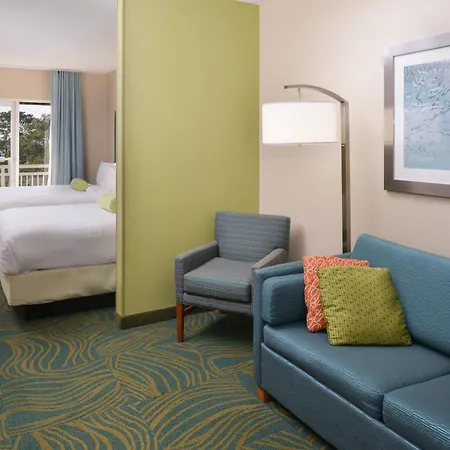 Springhill Suites By Marriott Charleston Riverview-3