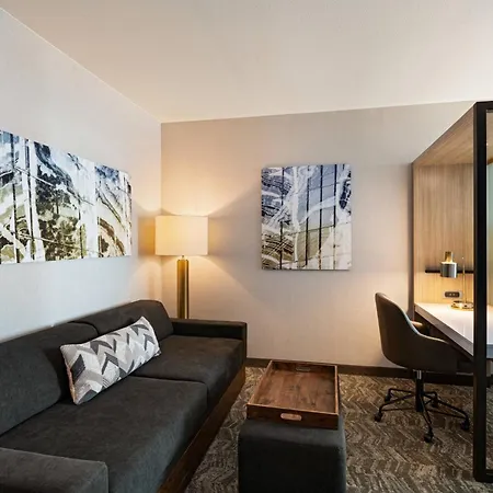Springhill Suites By Marriott Dallas Richardson/University Area-2