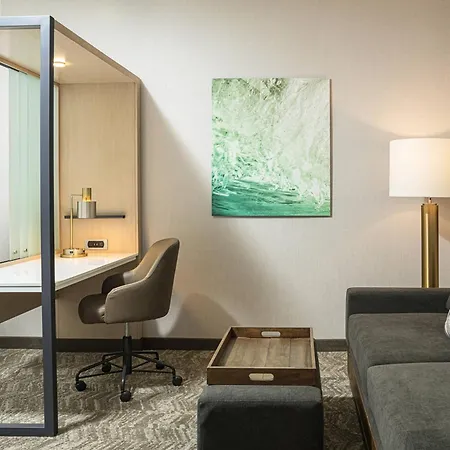 Springhill Suites By Marriott Savannah Richmond Hill-3
