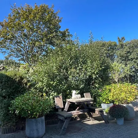 B&B Vloedlijn Texel-3
