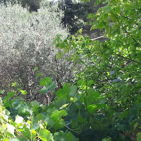 Bastide Sainte Agnès-3