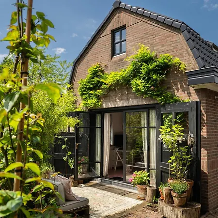 Guesthouse Rotterdam, Tinyhouse Nearby Kralingen-2