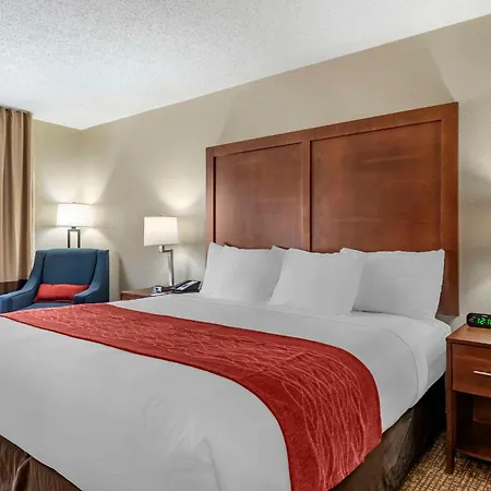 Comfort Inn & Suites Middletown - Franklin-2