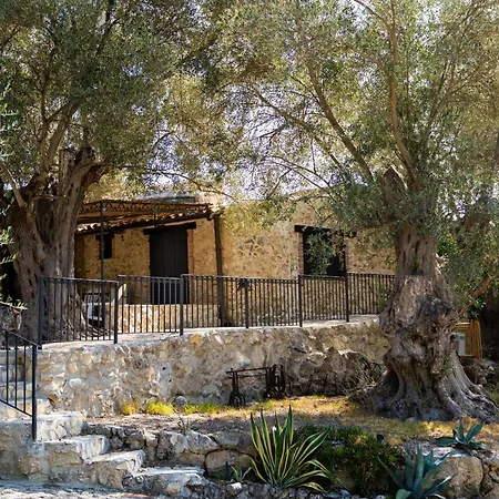 Roba Degli Ulivi-2