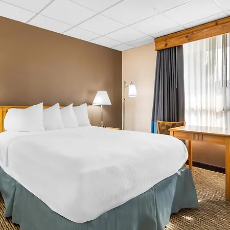 Best Western Lee'S Motor Inn-2