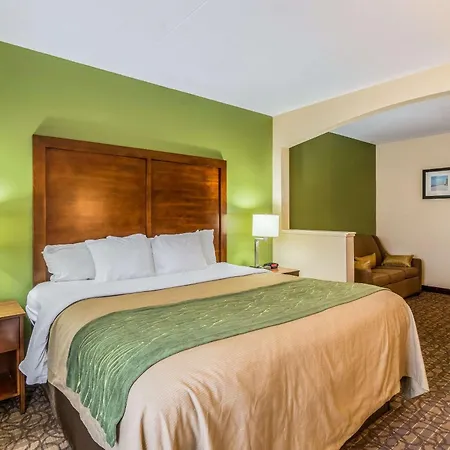 Comfort Inn & Suites Panama City North-3