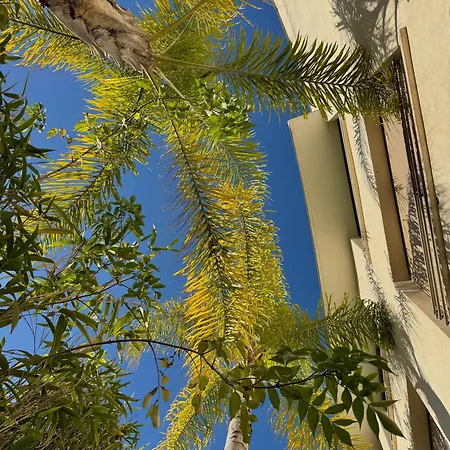 Cannes Villa St Barth-2