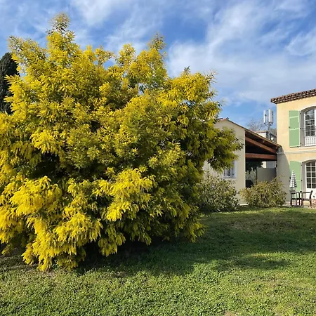Chambre D'Hotes "La Bastide Des Eucalyptus"-3
