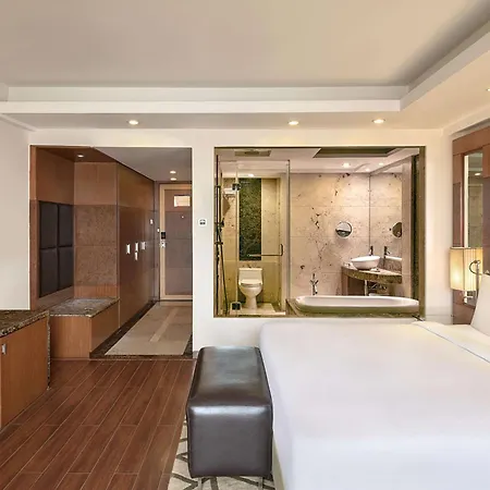 Radisson Blu Plaza Delhi Airport-3