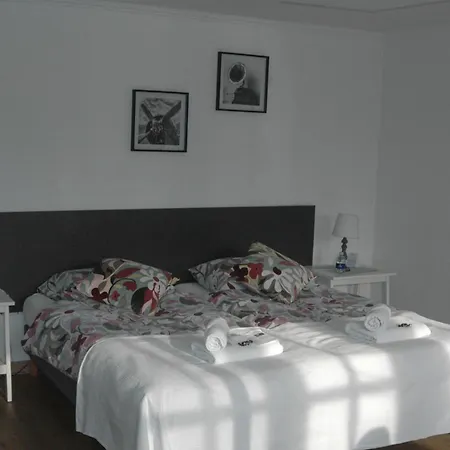 Bed&Breakfast de Vrijheid-2